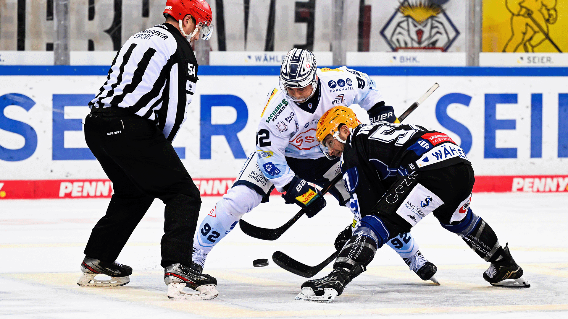 Pinguins Bremerhaven gg. Dresdner Eislöwen